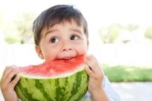 爆瓜揭秘：刘诗诗与主播吃瓜娱乐圈背后的故事