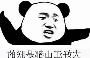 那英娱乐圈争议的背后真相及影响分析