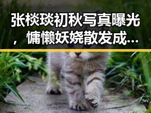 张棪琰初秋写真曝光,慵懒妖娆散发成熟魅力✨