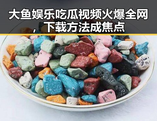 大鱼娱乐吃瓜视频火爆全网,下载方法成焦点
